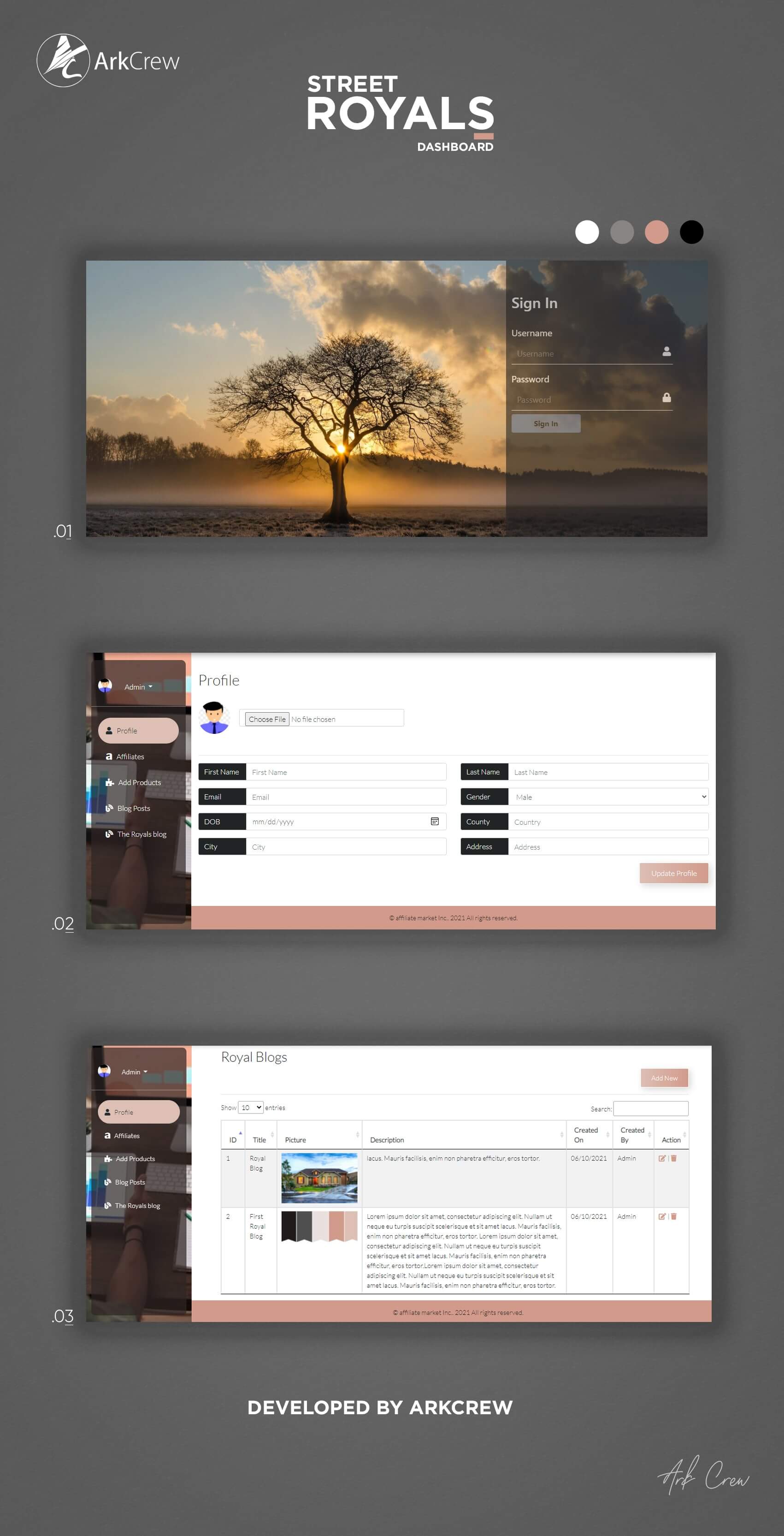 Affiliate Marketing Website - screenshot 2